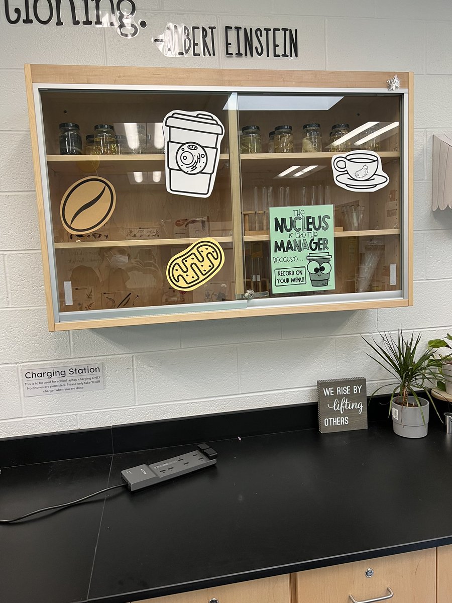 MrsBiddle7's tweet photo. Cellbucks Day! Students compare the parts of a cell to the jobs at Starbucks! I love a good room transformation to bring the fun into our lessons. Thanks for the idea @maniacsinthemid! ☕️🧫

@LrmsWolves @PWCSScience https://t.co/p1UzxEikmf
