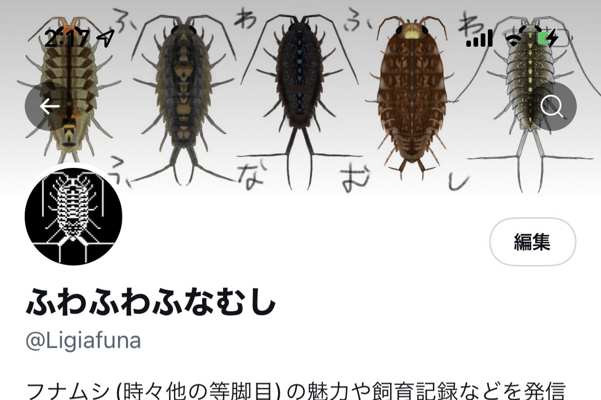 ふわふわふなむし ヘッダー変えました T Co S2xgoj6gpn Twitter