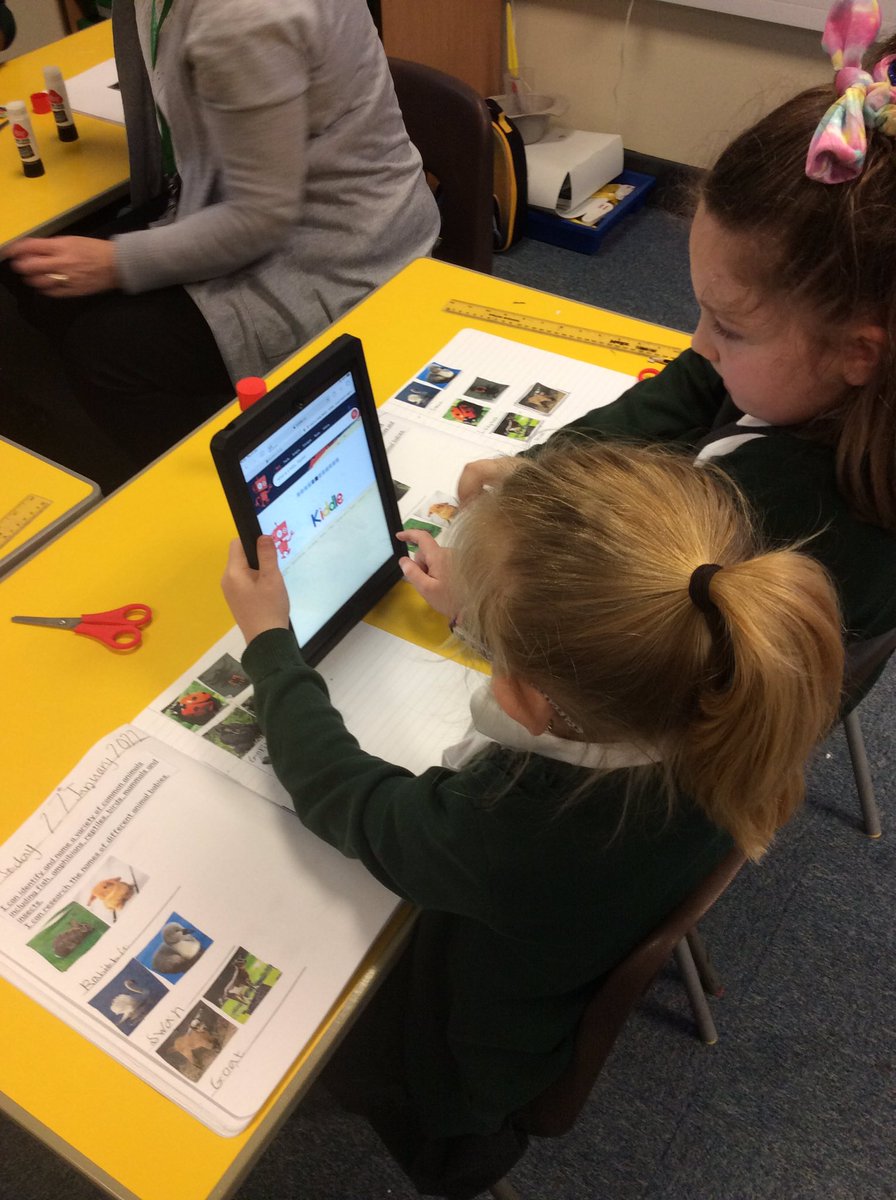 StMM_2021's tweet image. In their Science lesson today, Year 2 sorted a variety of common animals into different animal groups and researched the names of different animal offspring! #animalsincludinghumans #Year2Science