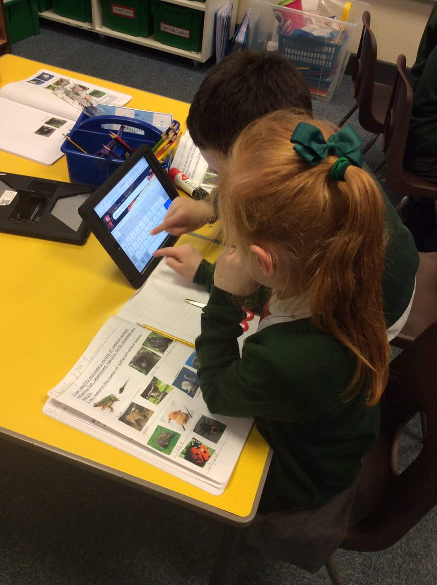 StMM_2021's tweet image. In their Science lesson today, Year 2 sorted a variety of common animals into different animal groups and researched the names of different animal offspring! #animalsincludinghumans #Year2Science