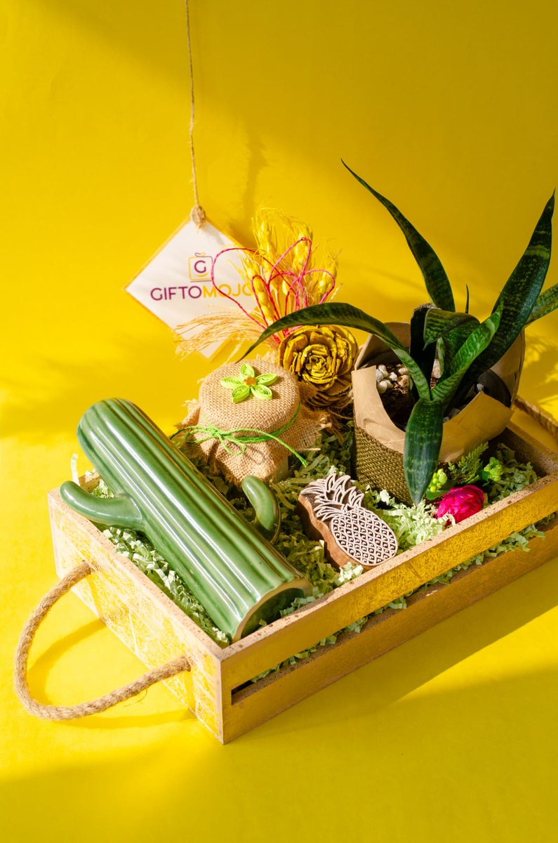 giftomojo's tweet photo. Bringing positivity and good vibes with  our latest eco-friendly corporate gift options ! 

#sustainability #ecofriendly #corporategifts #EmployeeEngagement #conscious #gifts #giftidea #ThoughtfulThursday #gifting https://t.co/W3PluR3aA6