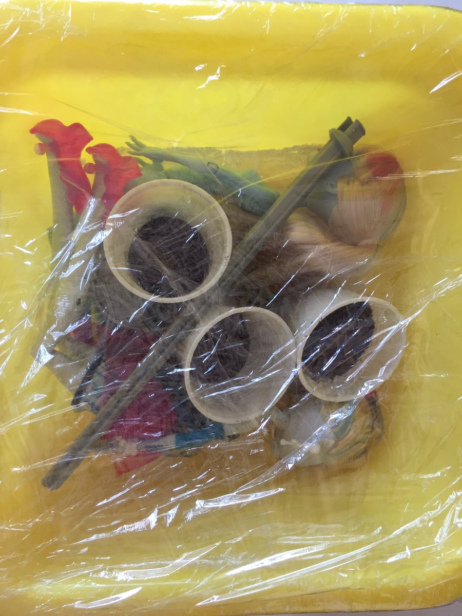 MHEuroCollector's tweet photo. So dang annoyed at this. Got 2 dolls online n as soon as I opened the box the stench hit me, more like bitch-slapped me. I thought we had all agreed in a civilized society one states if the dolls are from a smoker! Currently in coffee treatment Grrrr 🤬 #dollProblems #MonsterHigh https://t.co/J0ix4x68vr