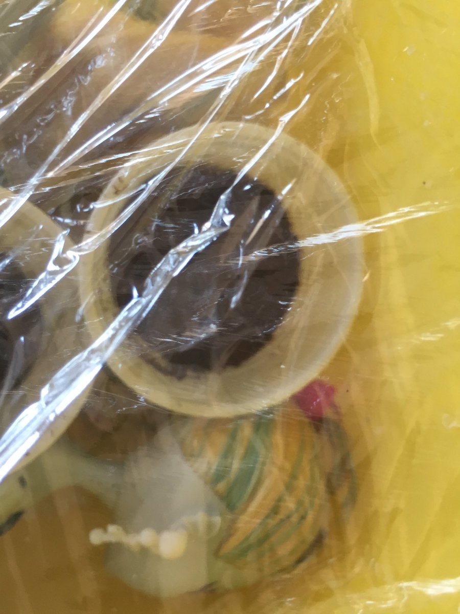 MHEuroCollector's tweet photo. So dang annoyed at this. Got 2 dolls online n as soon as I opened the box the stench hit me, more like bitch-slapped me. I thought we had all agreed in a civilized society one states if the dolls are from a smoker! Currently in coffee treatment Grrrr 🤬 #dollProblems #MonsterHigh https://t.co/J0ix4x68vr