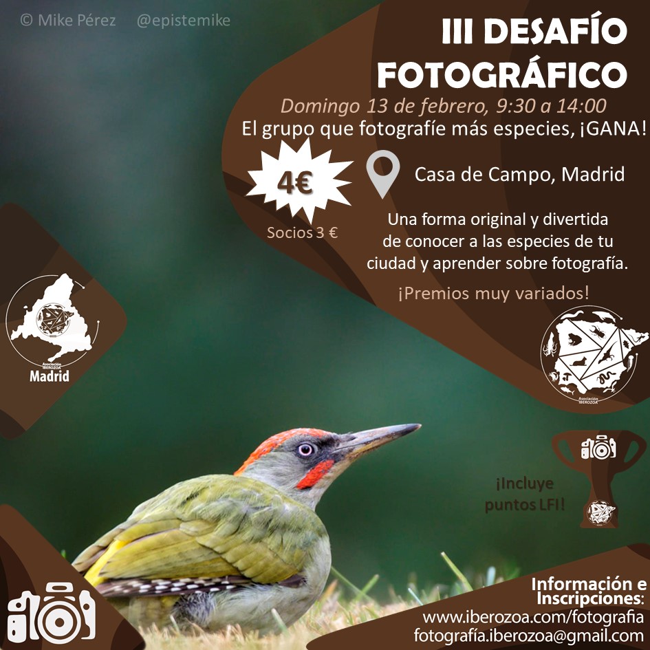 iberozoa's tweet photo. 📸DESAFÍO FOTOGRÁFICO EN CASA DE CAMPO, MADRID 🐦
🕓 Domingo 13 de febrero, 9;30 a 14:00.
El grupo que fotografíe más especies... ¡gana!
Una forma original y divertida de conocer a las especies de tu ciudad y aprender sobre fotografía.
Información 👇
https://t.co/4Yg5DJm75z https://t.co/Ik5leyVy9V