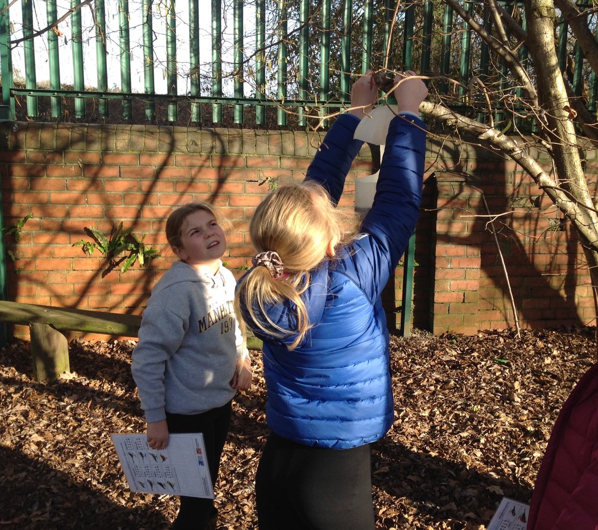 StanleyGrovePri's tweet image. C4 were learning about the #RSPB_learning Big Bird Watch. We have some very enthusiastic birders at Stanley Grove. The children investigated what the birds might eat when they don&apos;t visit our bird feeders.