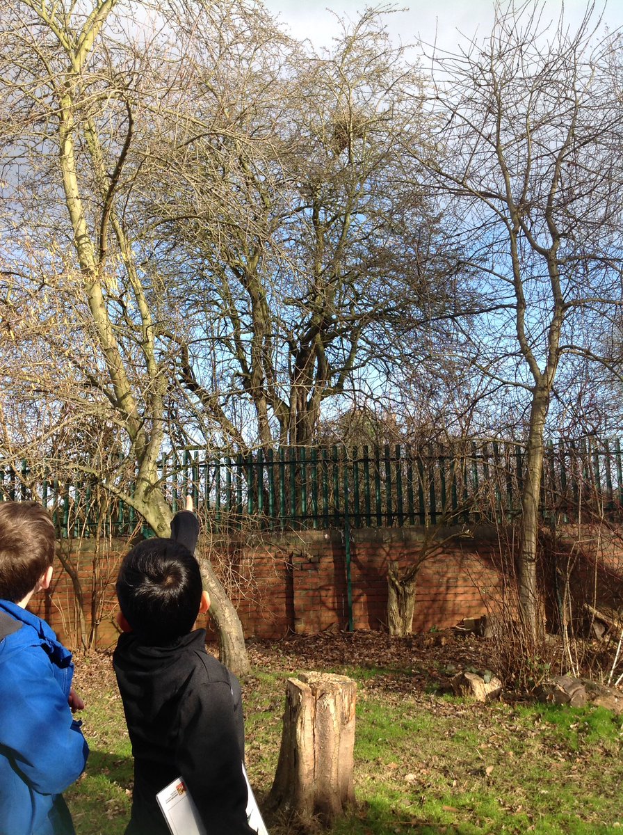 StanleyGrovePri's tweet image. C4 were learning about the #RSPB_learning Big Bird Watch. We have some very enthusiastic birders at Stanley Grove. The children investigated what the birds might eat when they don&apos;t visit our bird feeders.
