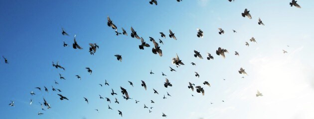 Als ondernemer krijg je vast een keer te maken met stress. Dat is helemaal niet erg en hoort er ook wel een beetje bij. Maar het is wel belangrijk dat je weet hoe je met stress omgaat. Lees hier onze 6 tips: bit.ly/3o0okUs #ondernemen #timemanagement #productiviteit