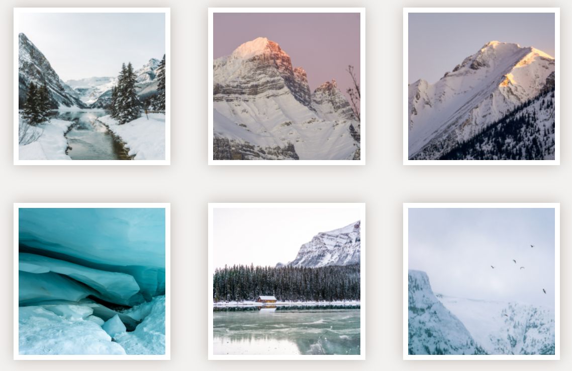 adv_bird's tweet photo. Winter scenes ✨ available for purchase in cute little 4x4 square prints. Stay tuned for beautiful ways to arrange these prints on your wall!
Visit my online shop to view all the different print options!
https://t.co/WzIbLfa610
#PNWPhotos #SquarePrints #Photography #Canada https://t.co/Qy2KSmDN4C