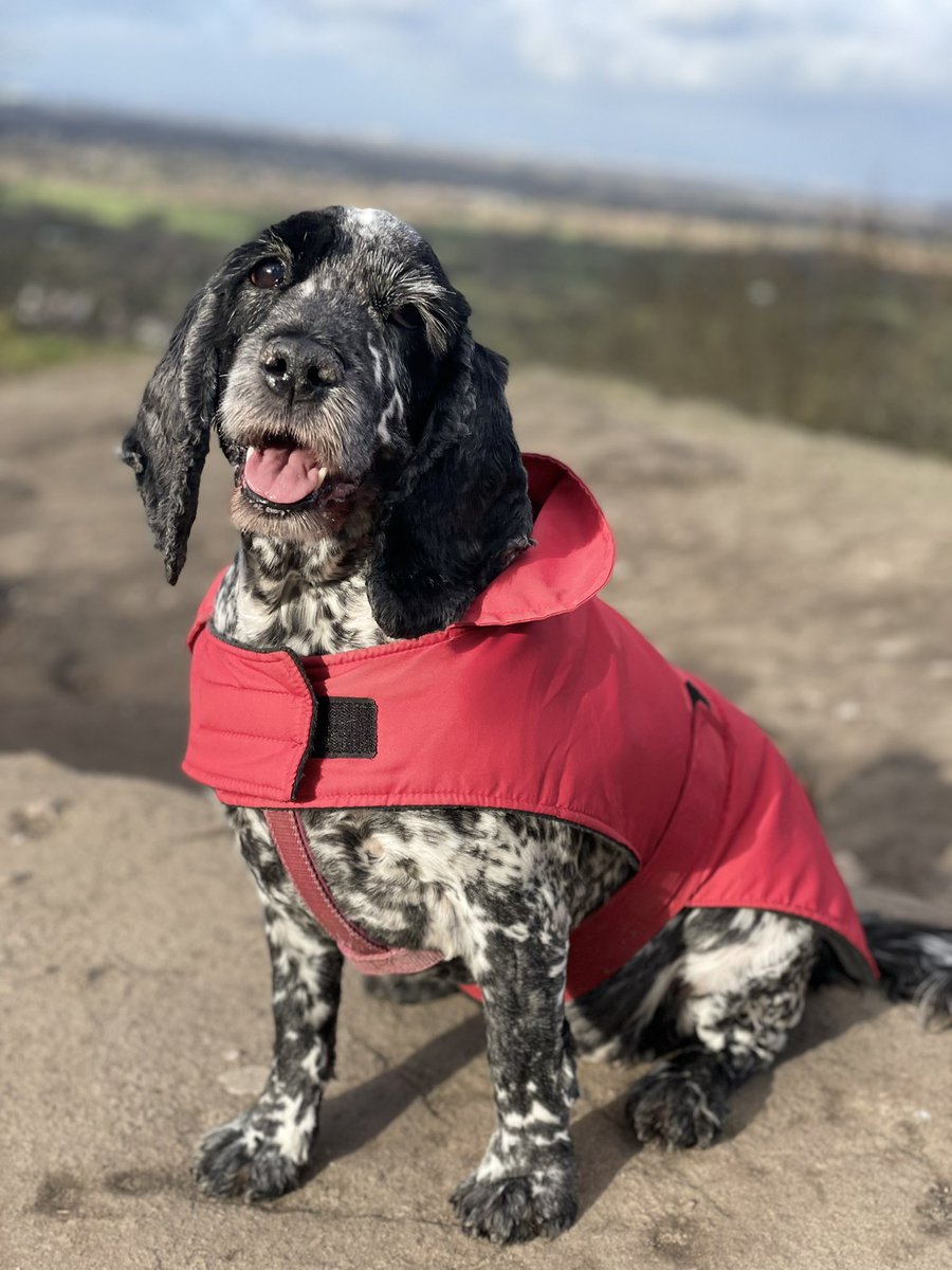 Dan McDwyer tweet media