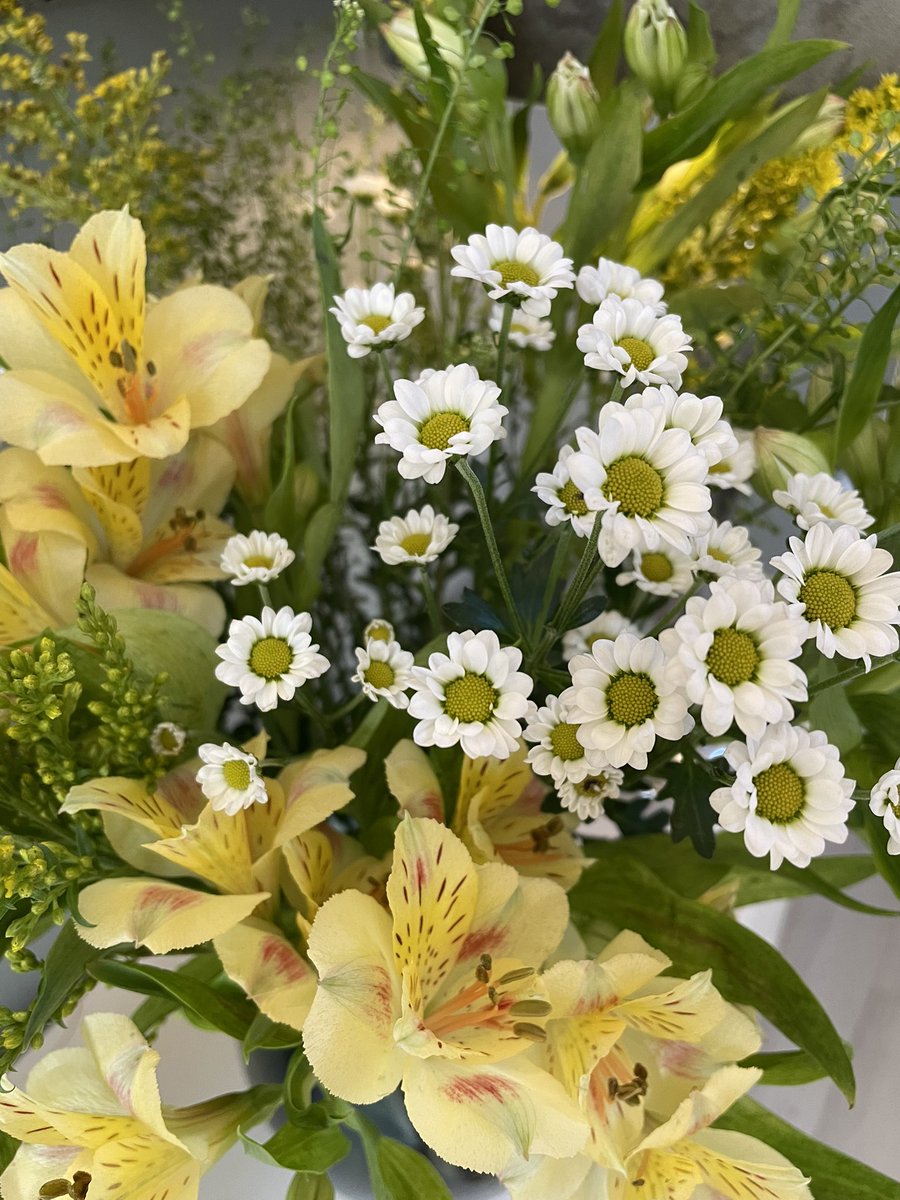 elliott_barlow's tweet photo. @fredds_flowers loving my birthday flowers!!!! https://t.co/pk9r8GhFxD