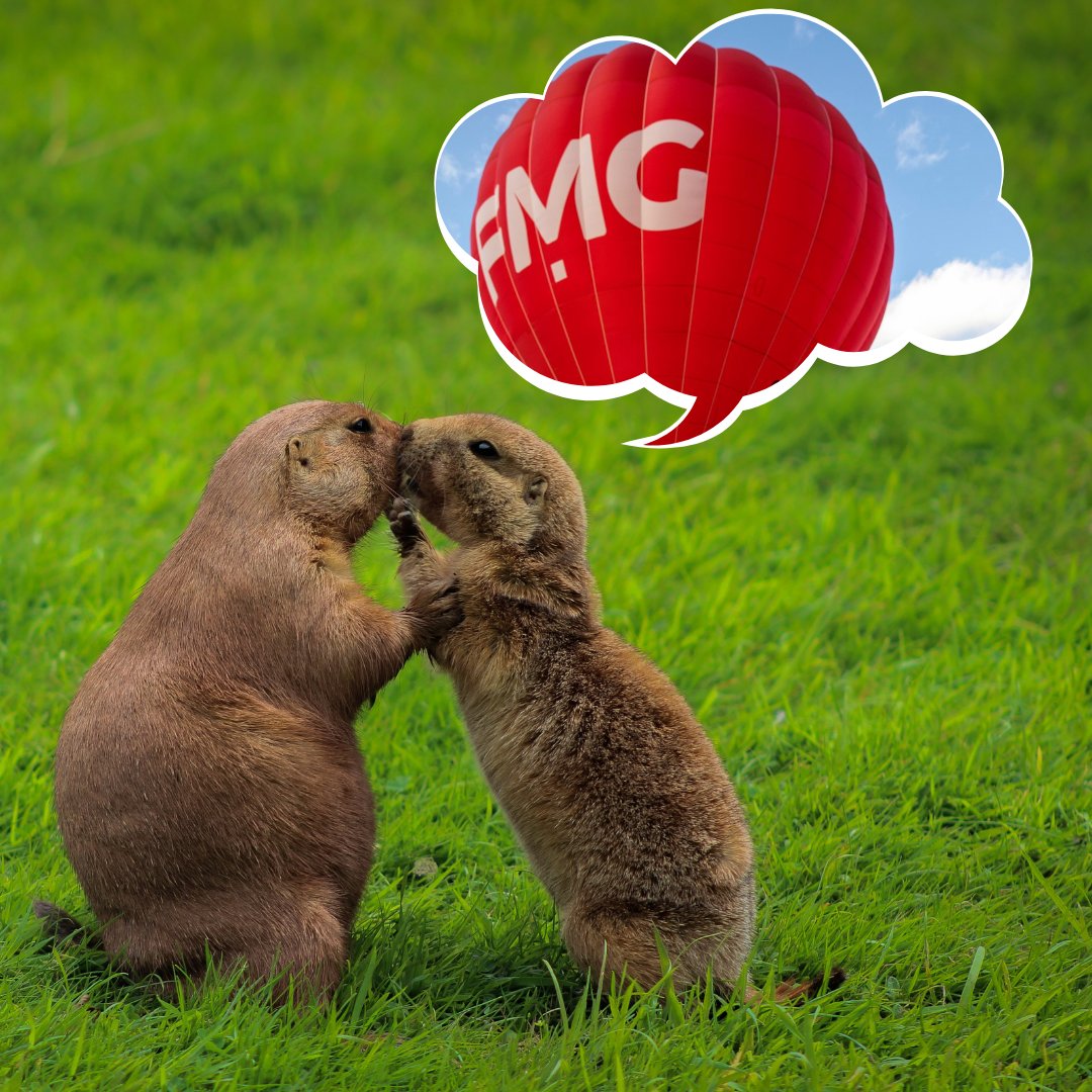 ☀️Happy groundhog day!
#gatineau #Ottawa #outaouaisfun #superfmg