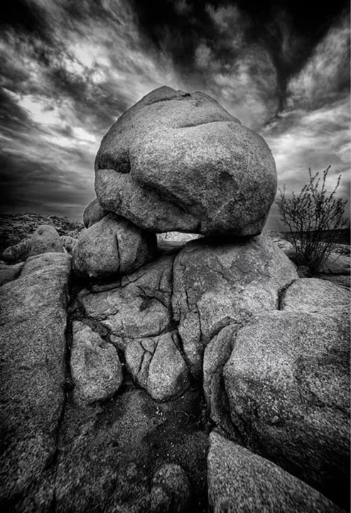 Jerry Appel 🇮🇱💙 tweet media