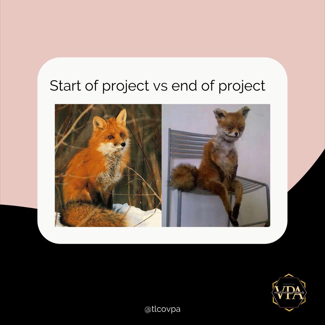 tlcovpa's tweet photo. Don't let this be you in 2022! Instead, HIRE yourself a Virtual Assistant. 

LINK IN BIO TO BOOK US!

#tlcovpa #virtualassistant #virtualassistantservices #va #smallbusiness #entrepreneur #personalassistant #workfromhome #business #womeninbusiness #administrativeassistant #social https://t.co/rTDzrZ5DqZ