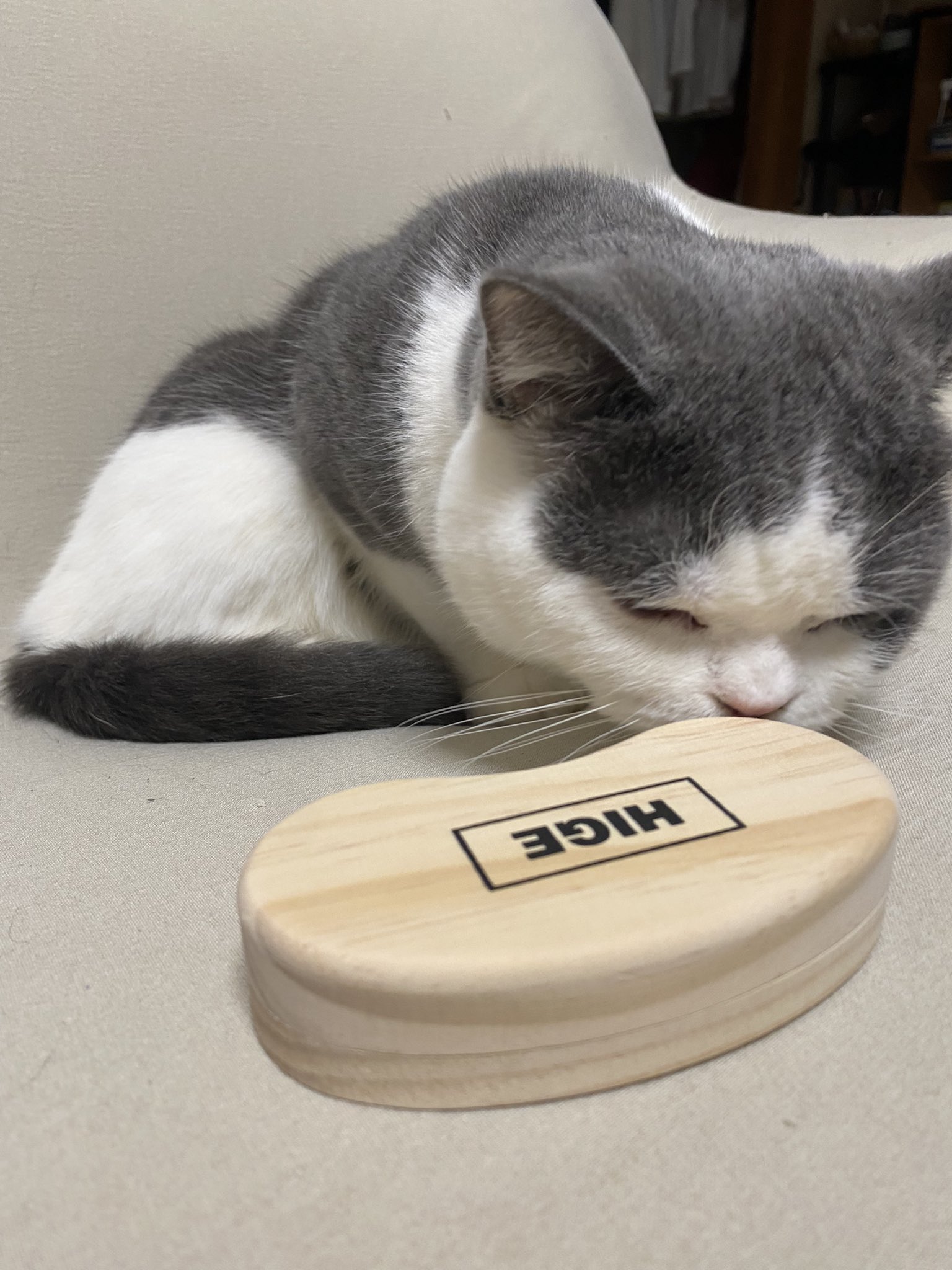 ひげケース Twitter Search Twitter