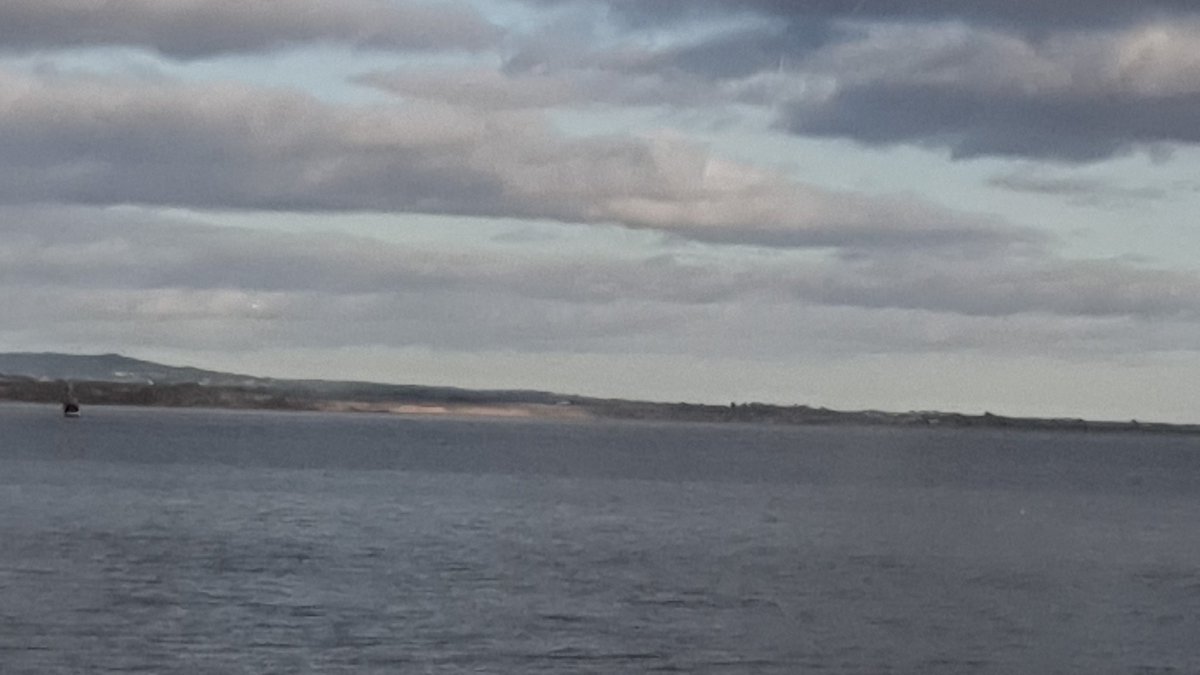 DurkanShaun's tweet photo. A trawler and a school of dolphins competing for whatever is below!!! #trawler #dolphins #bannowbay https://t.co/Tb5KcA95m3
