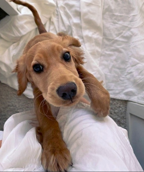 SailorTree's tweet image. 