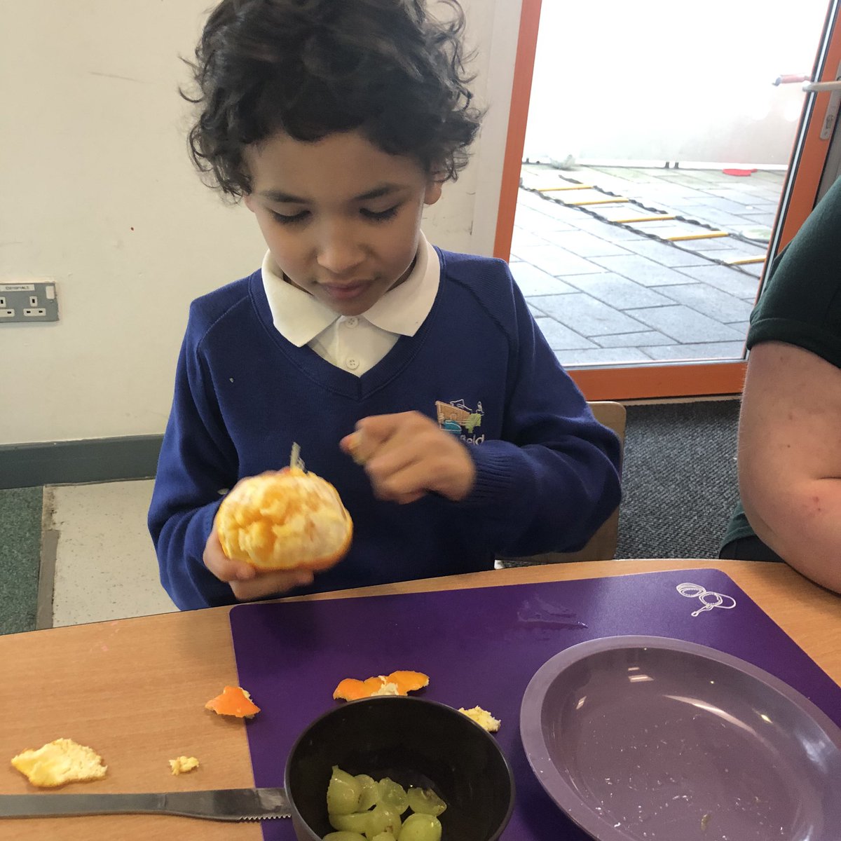 Foxfield Meadow Class tweet media