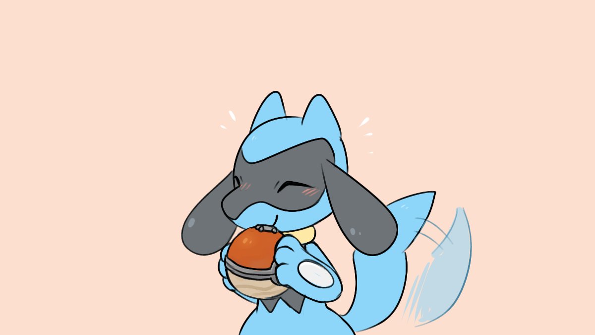 Riolu. 