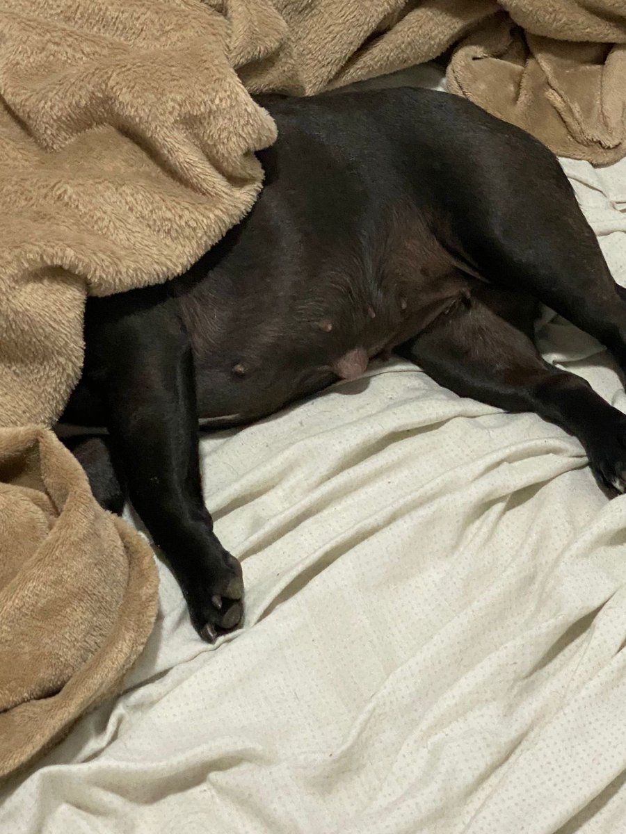 Decime que estaba fresco sin decirme que estaba fresco