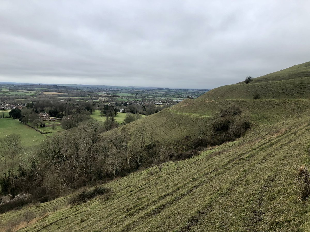 Site visits this week were a travel back in time with great views; from Charborough Estate and its tower, a 30m high, 1839 concrete folly, to <a href="/nationaltrust/">National Trust</a> Hambledon Hill, an Iron Age hill fort.