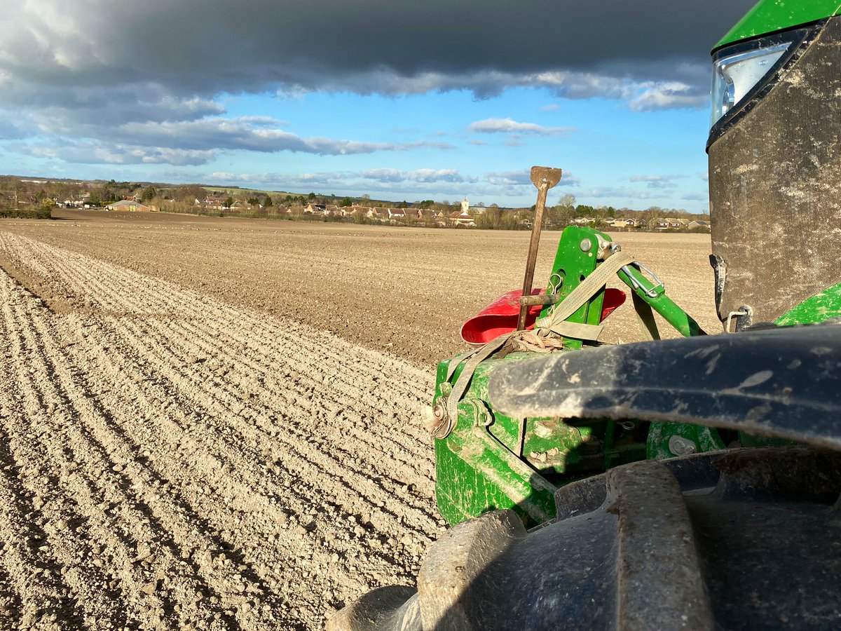 Spring Barley after Sugar Beet today. What a day! ☀️ ☀️
