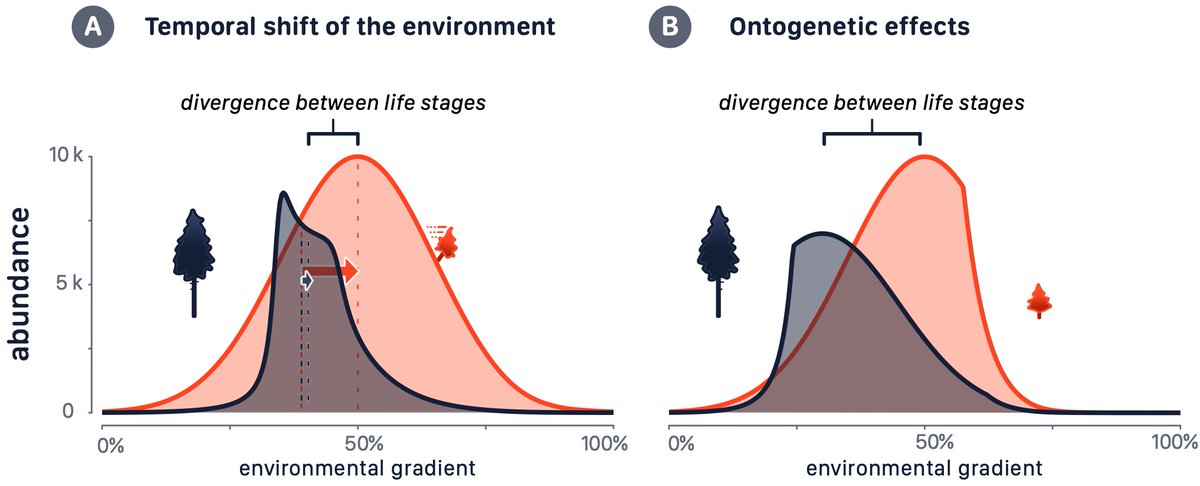 Ecosystem Analysis and Simulation Lab @UBT tweet media