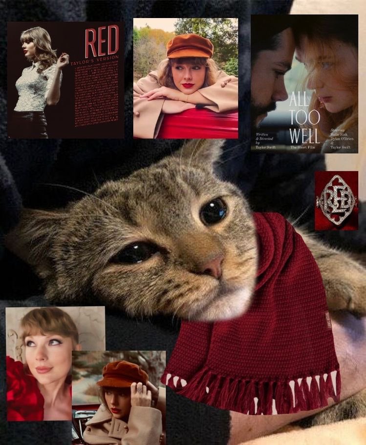 everyone last november 12 2021:

I'm voting for #AllTooWell   for #BestLyrics at the #iHeartAwards