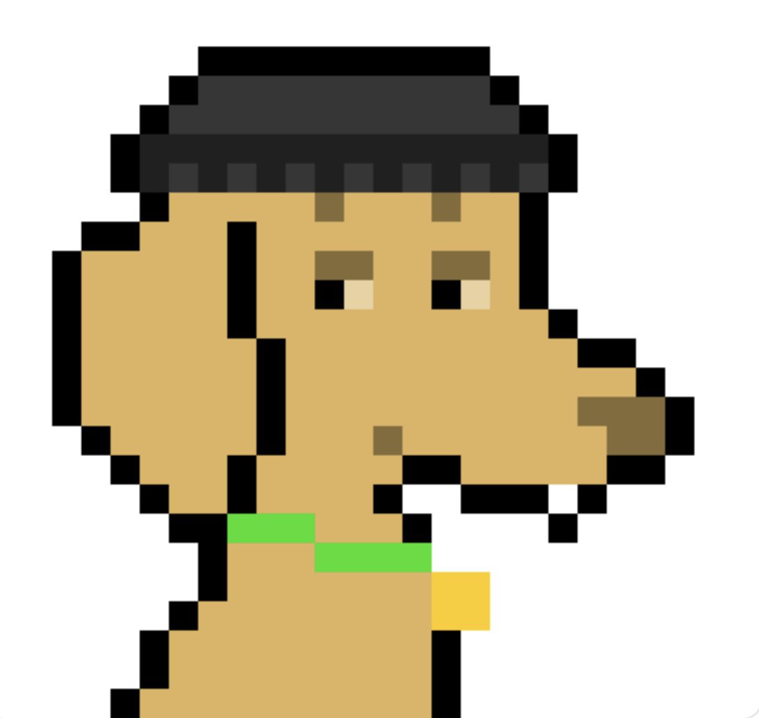 Let the dogs run! <a href="/cryptorayrays/">CryptoRayRays</a>