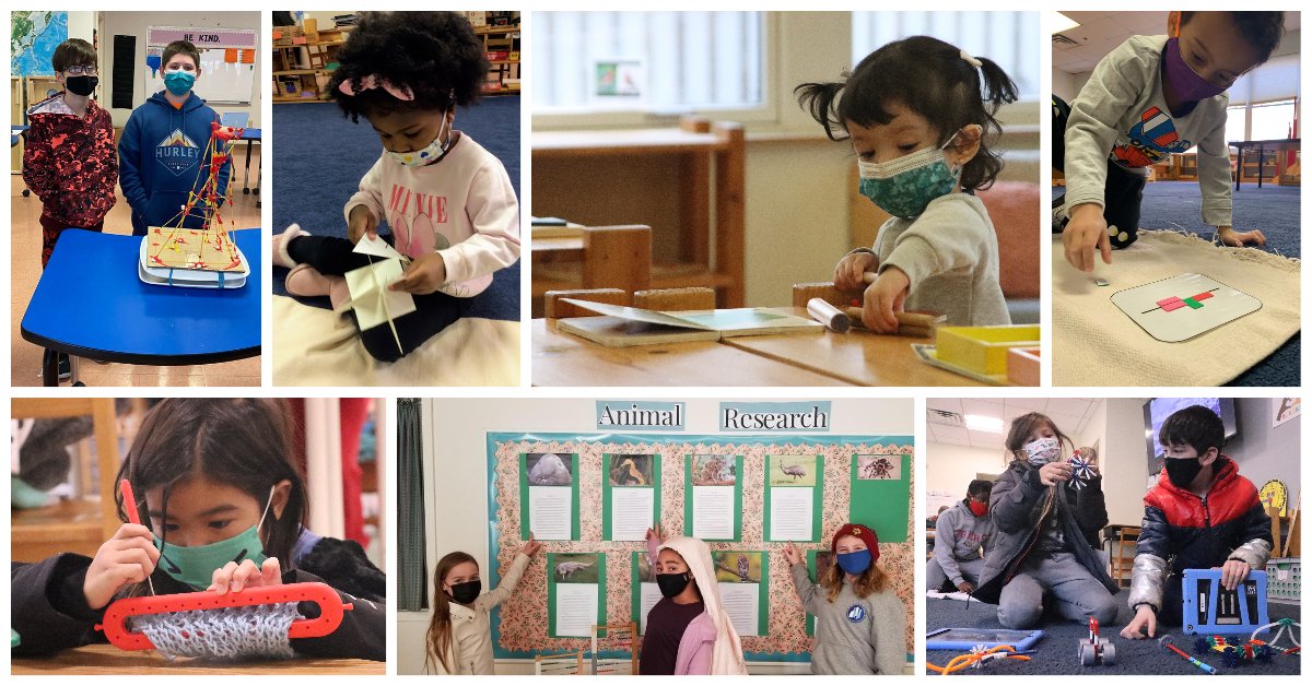 wmsde's tweet photo. Check out this week's #newsletter, including classroom updates from every program level! #Montessori #EduDE https://t.co/51MOFFlxyV https://t.co/0FKOSksTdS