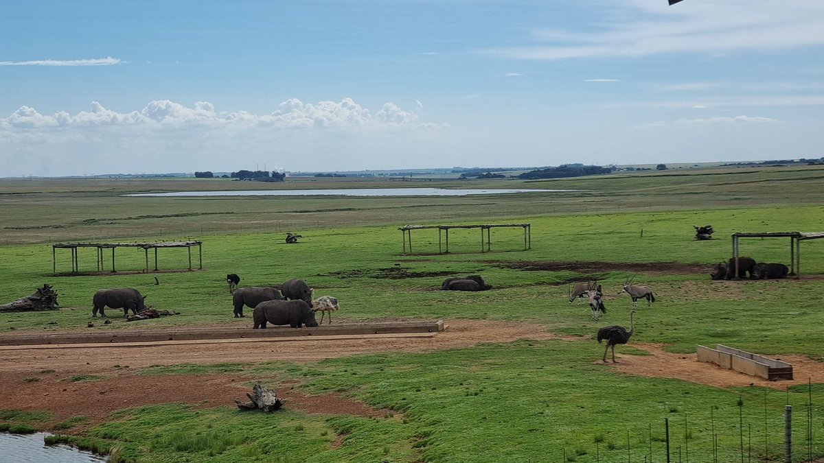 BigotedUncle's tweet photo. Driving on the N4 in Mpumalanga is better than driving in a developed country. Thanks to this stop!🥰🥰🥰
#Alzu #TRAC #N4 #SouthAfrican #NatureBeauty https://t.co/SUyU5hf4PO