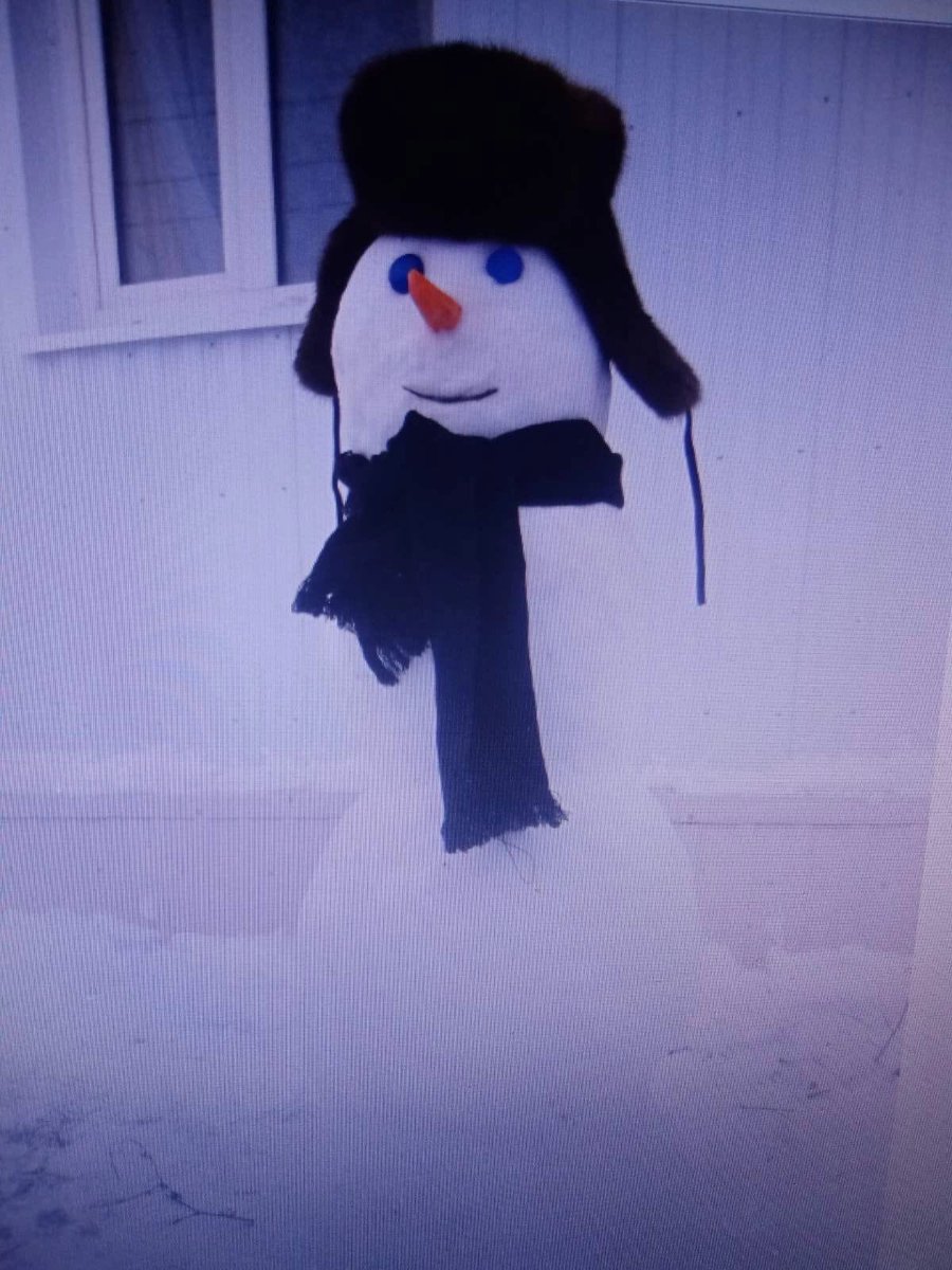 Весело и с пользой прошла Неделя снеговика во 2Е классе. На курсах внеурочной деятельности ребята узнали об истории снеговика, прочитали рассказ Г.Скребицкого «Снеговик». Выполняли  тематические задания по математике. <a href="/GbouSosh2_KCh/">ГБОУ СОШ №2 ОЦ с. Кинель-Черкассы</a> <a href="/samminobr/">МинОбрНауки СО</a> <a href="/uprobraz2018/">Отрадненское управление МОНСО</a>