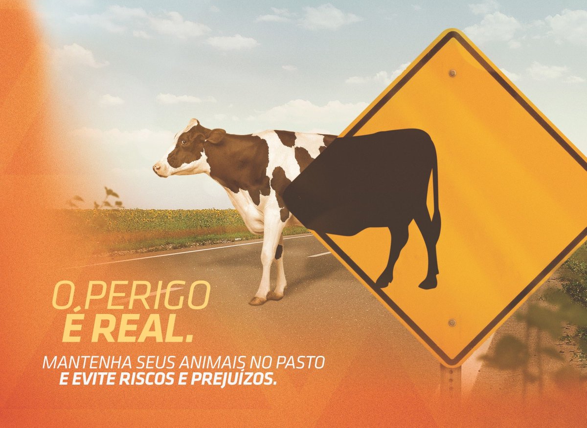 ROADIStr's tweet photo. Esta semana nuestros compañeros de @VIABAHIA_SA  acudieron al rescate de 30 caballos abandonados en los márgenes de la BR-324. El abandono de animales en la vía supone un peligro para ellos mismos y para los usuarios. 

¡Mantenemos nuestro compromiso con la seguridad! https://t.co/AAFPhcbyPX