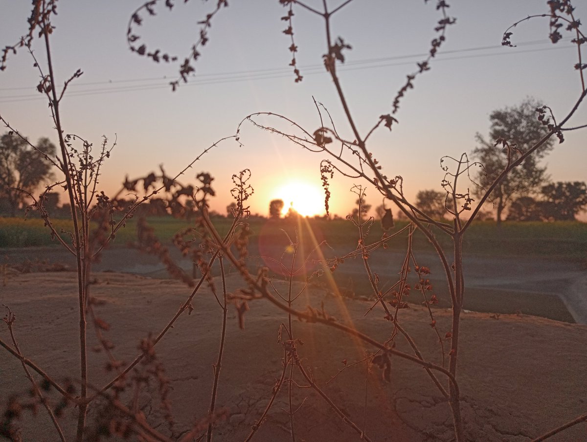 DevkrishanB's tweet image. @DevkrishanB
#ofmyfarm  
beautiful sunset view 
🙂🙂🙂🙂