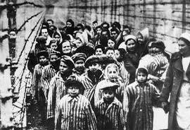 More than 1,500,000 children were killed in the Holocaust.

Don’t you dare tell me YOUR children are too sensitive to learn about it.

#NeverForget #HolocaustRememberanceDay