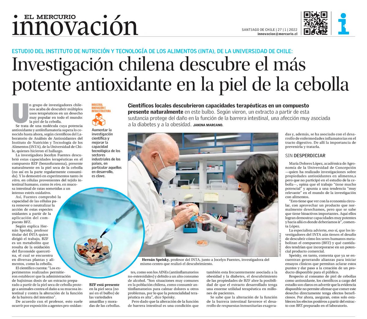 [UCHILE en la Prensa] Investigación del <a href="/INTA_UChile/">INTA</a> descubre el más potente antioxidante en la piel de la cebolla. Nota destacada en Innovación de @ElMercurio_cl