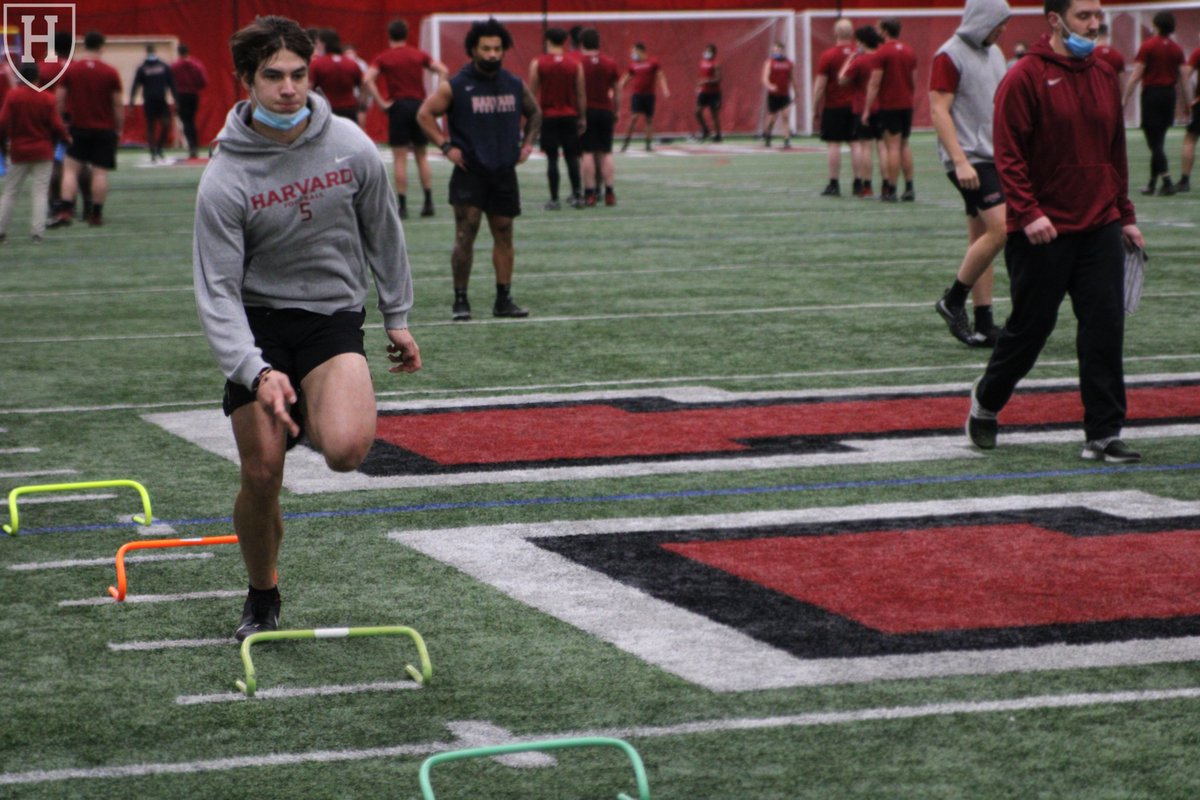 Harvard FB Recruiting tweet media