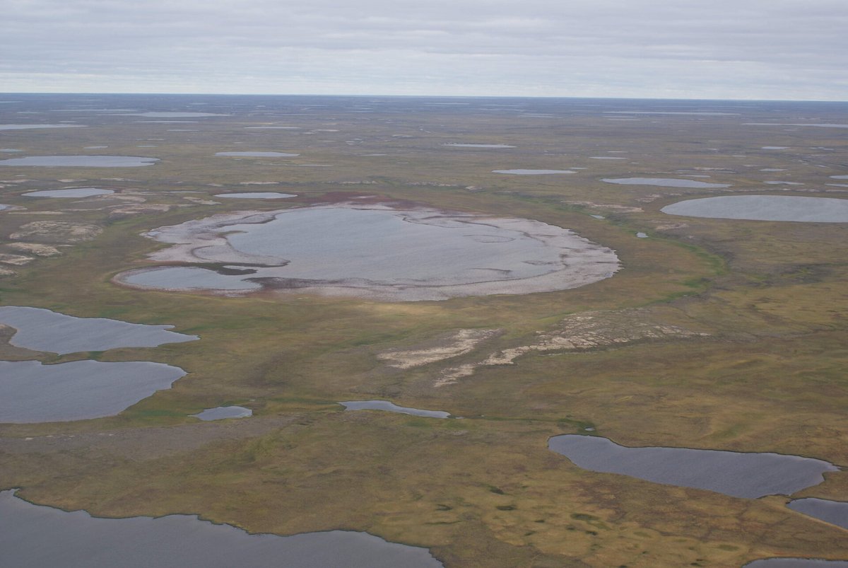 esa's tweet photo. One of the many serious consequences of the #ClimateCrisis is that precious #permafrost is thawing, and this is unleashing even more carbon into the atmosphere and exacerbating #ClimateChange. But... ...it’s complicated 👉 https://t.co/6Mkn4yrjdX https://t.co/xtt2pcAvRZ