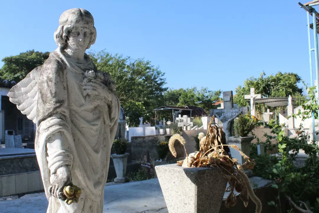 WILSONCOY's tweet photo. #27ene Asi quedó nuestro cementerio del centro donde se encuetran los restos de hombres y mujeres que fundaron Cagua, que la vieron crecer... 
Mi respeto a todas las generaciones que tienen sus corazones y recuerdos que jamás serán borrados.
#contigoporsucre https://t.co/OecMqPqb15