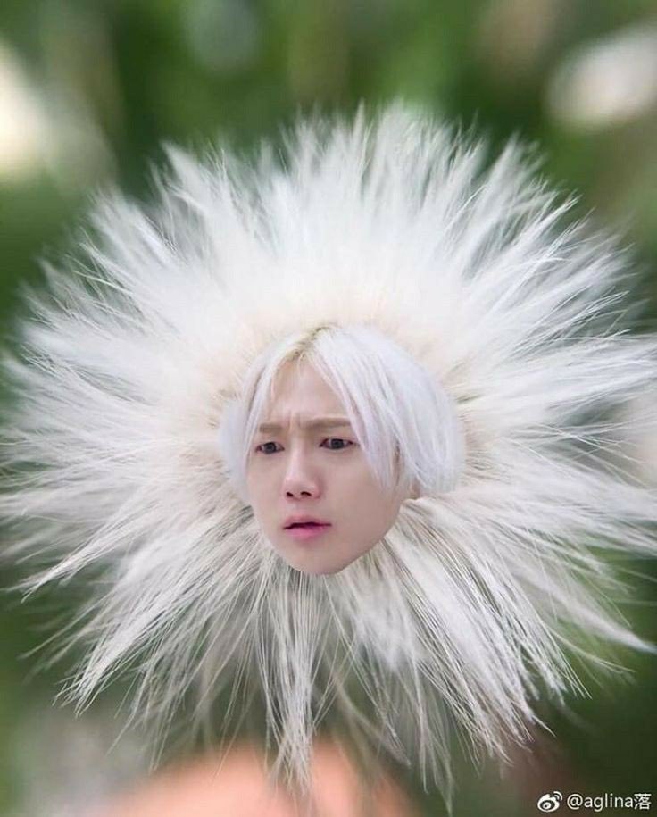 iTeukUrHeart's tweet photo. #Yesung #SUPERJUNIOR @SJofficial @shfly3424 

YESUNG?⚡️JUST WHAT IS THAT 🤣 https://t.co/0Fc3DplAaU