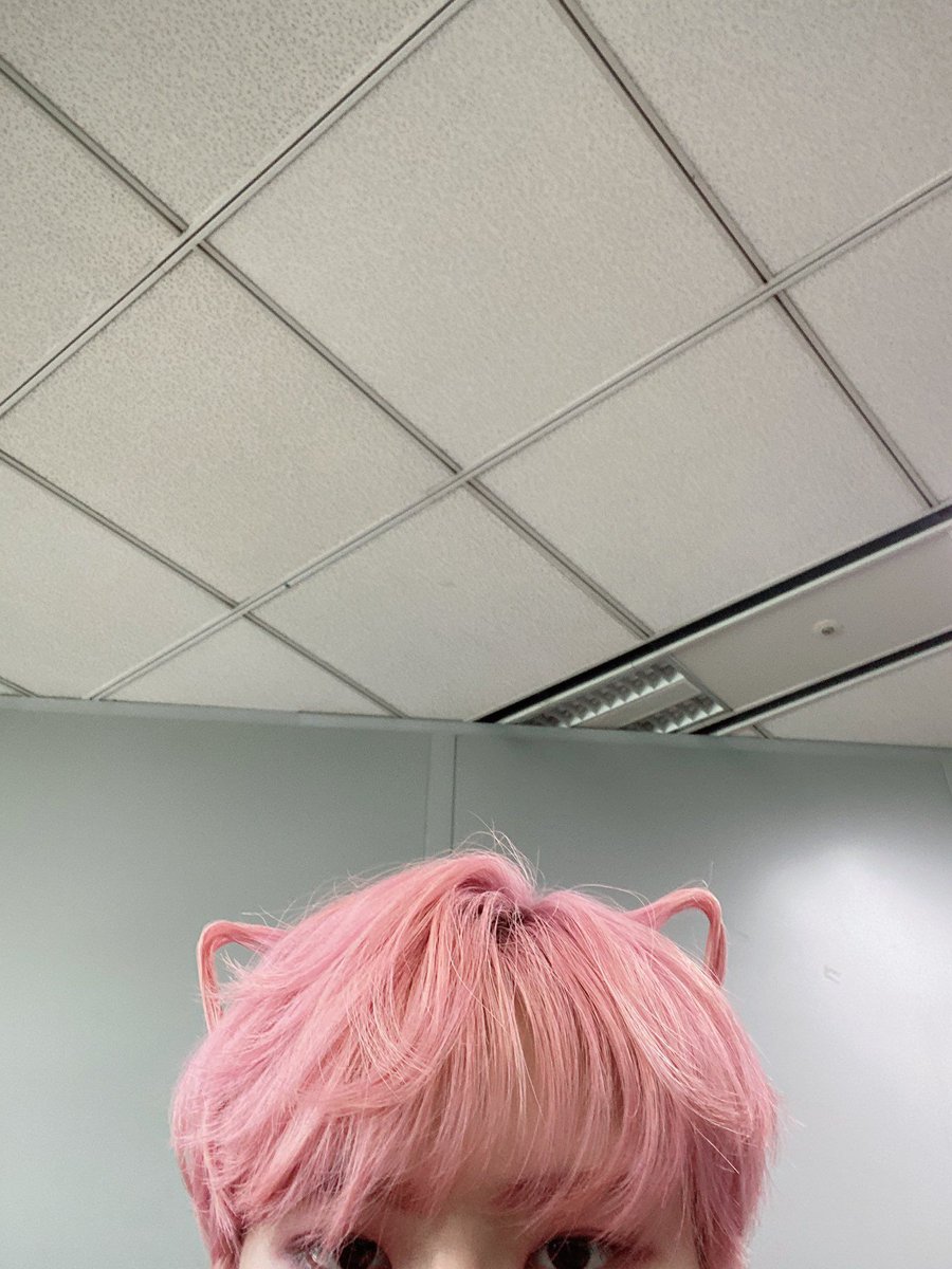 wooyocat's tweet photo. this was a cultural reset https://t.co/SqHULy6Aky