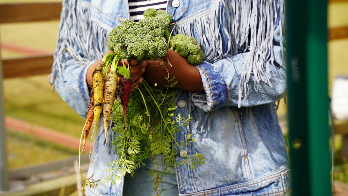 Laura Duclos tweet media