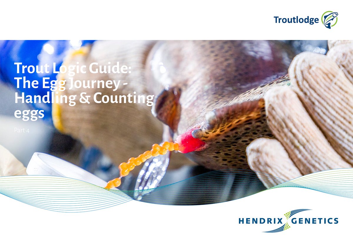 TroutlodgeInc's tweet photo. 'Dive Into' our newest management guide Trout Logic: The Egg Journey. Learn more about the process we undertake behind every shipment of trout eggs that ensures we deliver the best product in the industry. Read more https://t.co/QaYebzxU1L  
#aquaculture  #trout  #fishfarming https://t.co/C5MkgxF6eT