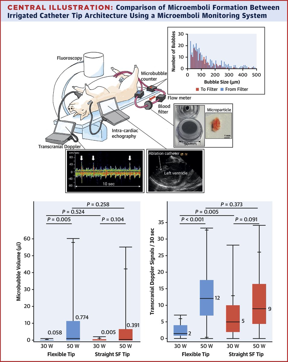 JACCJournals's tweet photo. A peripheral #microemboli monitoring system revealed radiofrequency #ablation at high power in the LV carries a risk of microembolic events; #steampops ➡️ exponential ⬆️ in microbubble volume. https://t.co/xOkBbBEzhx

#JACCCEP #Epeeps #CardioTwitter #emboli #leftventricle https://t.co/mL5YM9XjVD