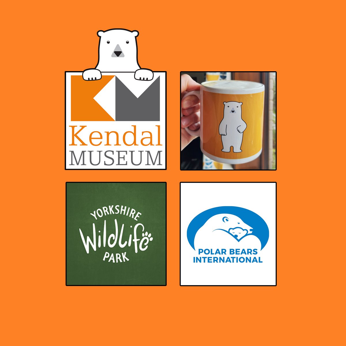 KendalMuseum's tweet photo. Β£1 from every sale of our Polar Bear Mugs goes towards polar bear conservation in the Arctic!
#polarbear #mylocalmuseum #naturalhistory #natureconservation #savethearctic #projectpolar #charitywork #yorkshirewildlifepark #kendalmuseum #polarbearinternational https://t.co/r9q8BcSX9B