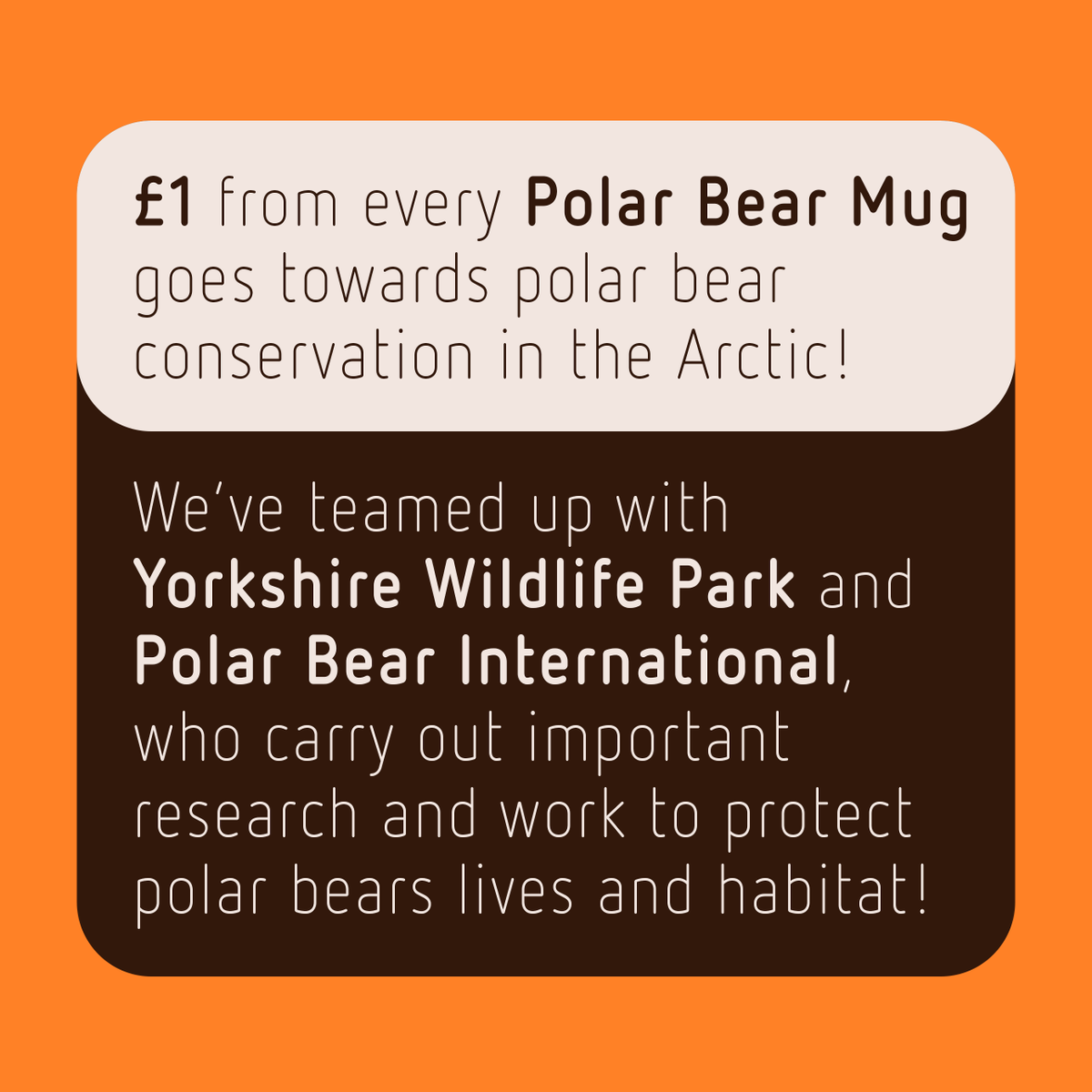 KendalMuseum's tweet photo. Β£1 from every sale of our Polar Bear Mugs goes towards polar bear conservation in the Arctic!
#polarbear #mylocalmuseum #naturalhistory #natureconservation #savethearctic #projectpolar #charitywork #yorkshirewildlifepark #kendalmuseum #polarbearinternational https://t.co/r9q8BcSX9B