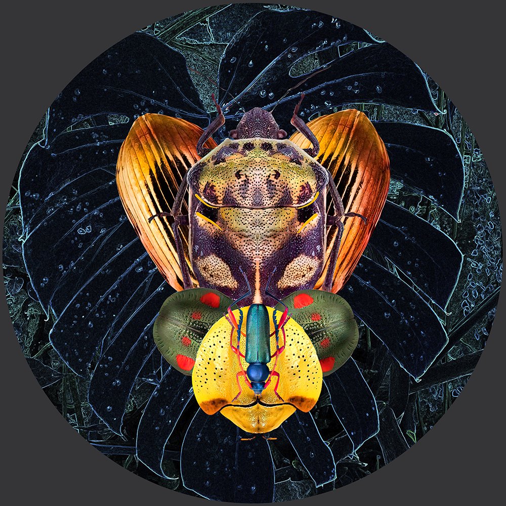 IlonaUaDesign's tweet photo. The Pantheon of the Saints of Crypto is open to contemplation and acquisition. SaintCrypto #02
https://t.co/DKh6LcoIVe
5000ั
5000pixel
10/50
5 $tez
@hen_community
#NFTCommunity #NFTart #NFTartist #NFTcollectors #XTZ #HEN #HENart https://t.co/Lk9SBJTqAZ