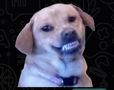 Ares (@wargxd_sp) on Twitter photo 