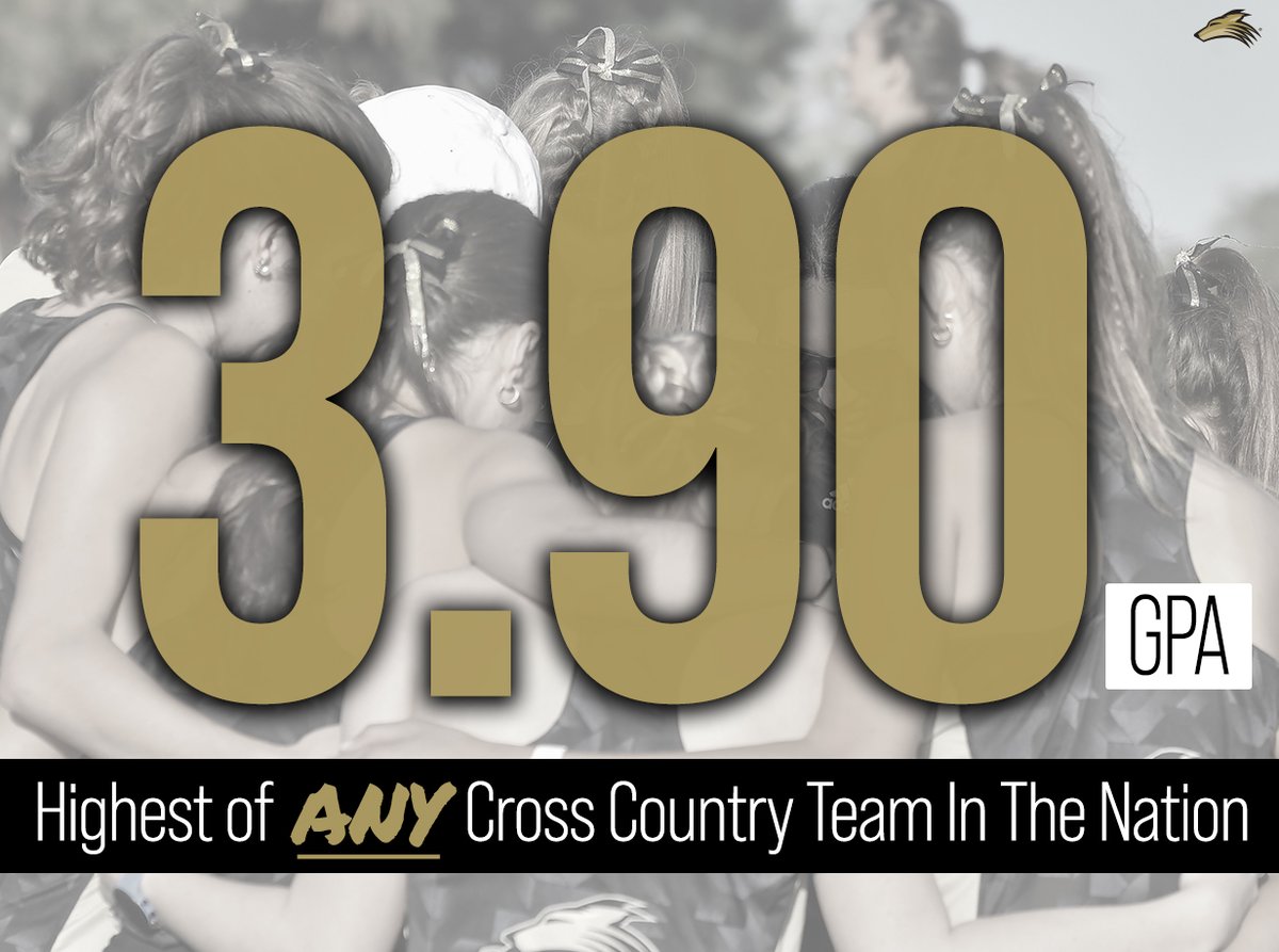 NWUSports's tweet photo. Women's Cross Country finished with a 3.90 team GPA, the highest of ANY cross country team....men's or women's team...IN THE NATION! 

Congrats, PWolves! https://t.co/pQNI1m6YYx