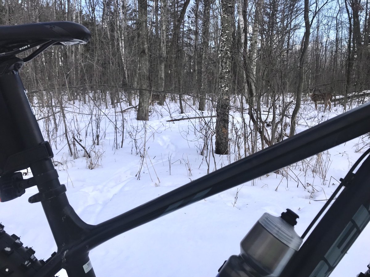 bmatchefts's tweet photo. Not all of God’s creatures need a fat bike in the snowy woods. ⁦@TrekBikes⁩ #winter #wisconsin https://t.co/ICXTwLWR16