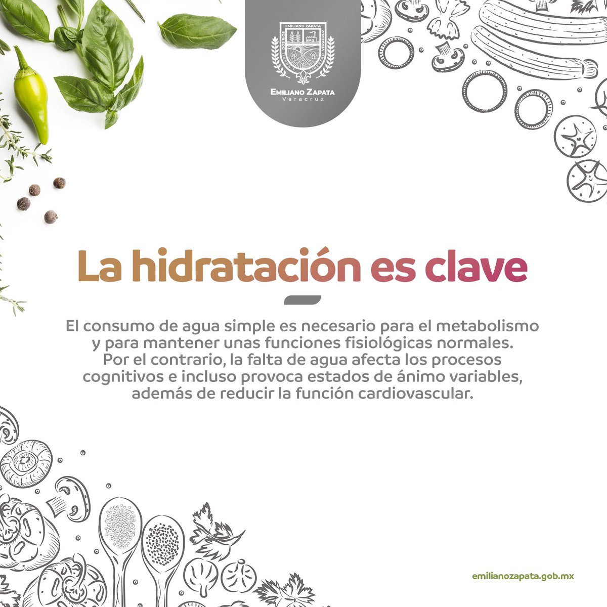 gobezapata's tweet photo. Este 27 de enero, #DíadelNutriólogo, te compartimos algunos consejos del DIF Municipal de Emiliano Zapata para una vida más saludable.

#EmilianoZapata #TiempoDeCrecerJuntos 🌱 https://t.co/yiIVF3iNl8